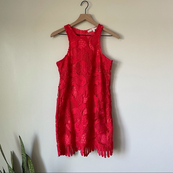 Lovers + Friends Coral Caspian Lace Shift Dress - Picture 4 of 10